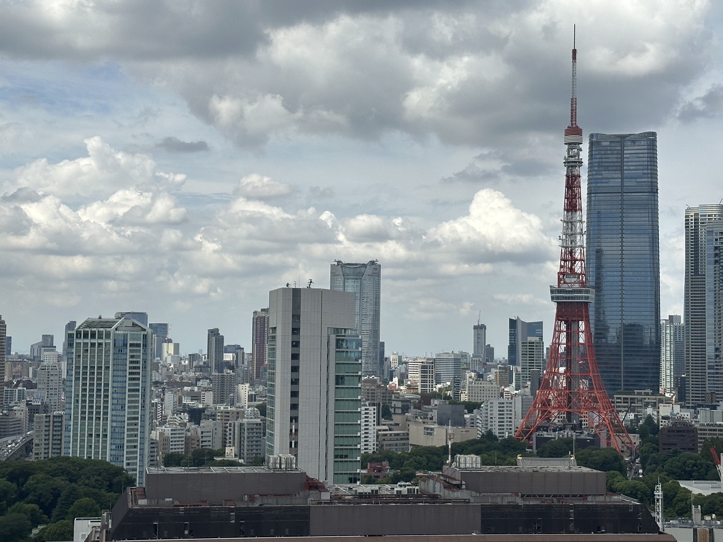 画像9